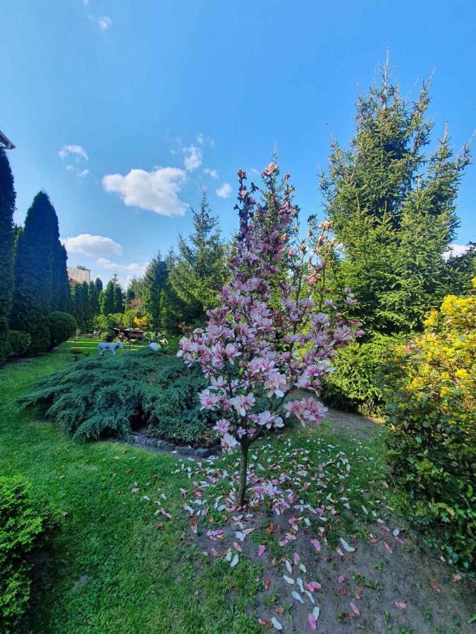Дом Для Души С Бассейном Целиком Hotell Vinnytsia Exteriör bild